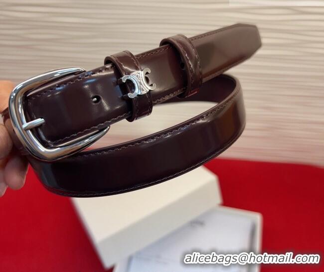 Cheap Price Celine Elegant Charm Triomphe Belt 2.5cm with Silver-Tone Pin Buckle in Shiny Leather 16052 Dark Brown 2026