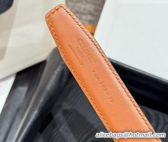 Market Sells Celine Disc Belt 2.5cm taurillon Leather B100L6ATZ Black/Brown 2026