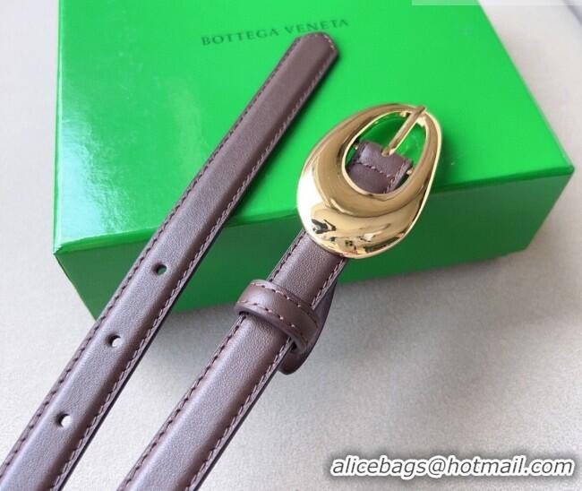 Good Product Bottega Veneta Soft Calfskin Belt 2cm with Gold Pin Buckle 0315 Dark Brown 2025