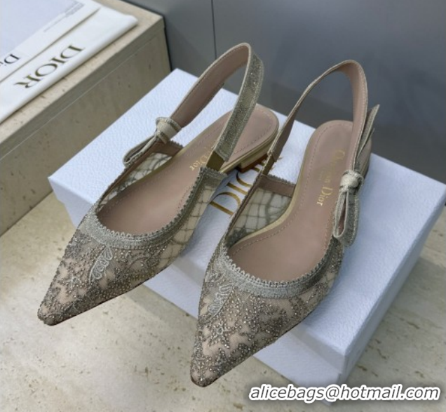 Good Quality Dior J'Adior Slingback Ballets Flat in Transparent Mesh Embroidered with Millefiori Motif in Gold-Tone Stra
