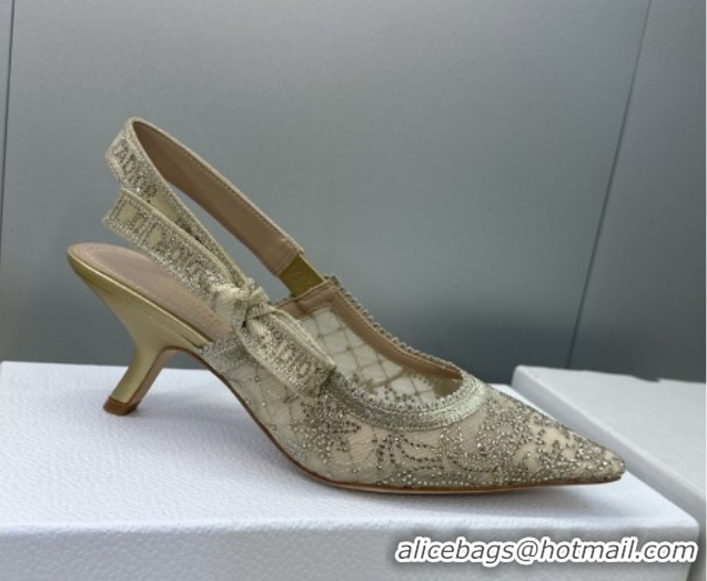 Unique Style Dior J'Adior Slingbacks Pump 6.5cm in Transparent Mesh Embroidered with Millefiori Motif in Gold-Tone Stras