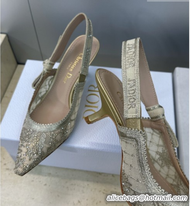 Unique Style Dior J'Adior Slingbacks Pump 6.5cm in Transparent Mesh Embroidered with Millefiori Motif in Gold-Tone Stras