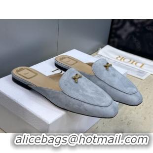 Good Quality Dior Baby Bow Mules in Suede Blue 2026 DR030202