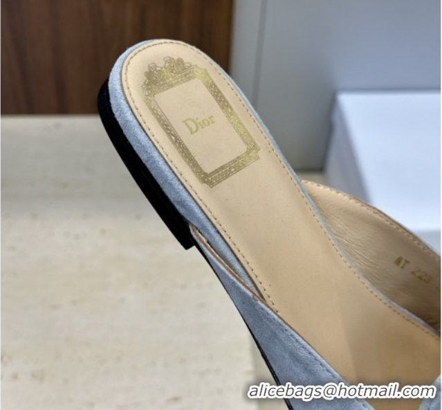 Good Quality Dior Baby Bow Mules in Suede Blue 2026 DR030202