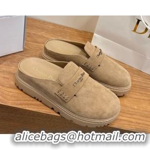 Pretty Style Dior Boy Platform Mules in Suede Beige 2026 DR030203