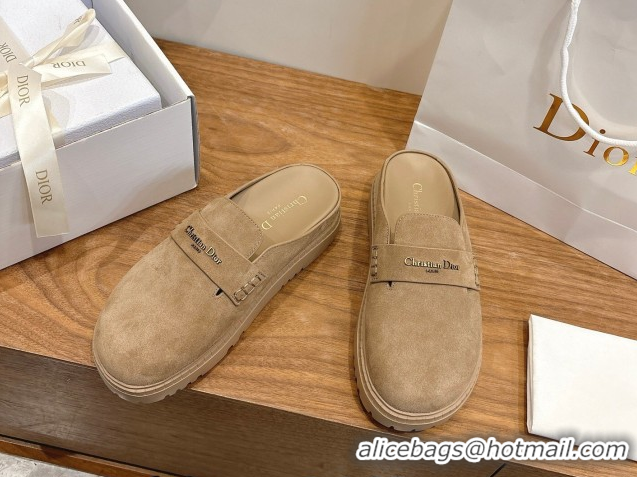 Pretty Style Dior Boy Platform Mules in Suede Beige 2026 DR030203