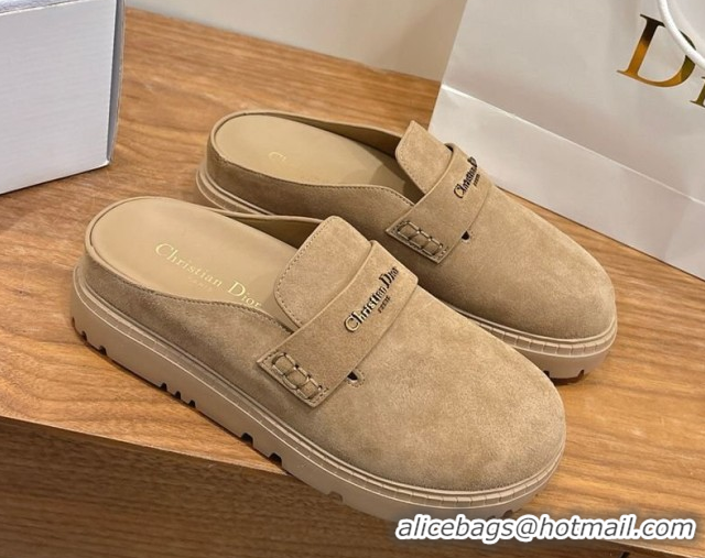 Pretty Style Dior Boy Platform Mules in Suede Beige 2026 DR030203