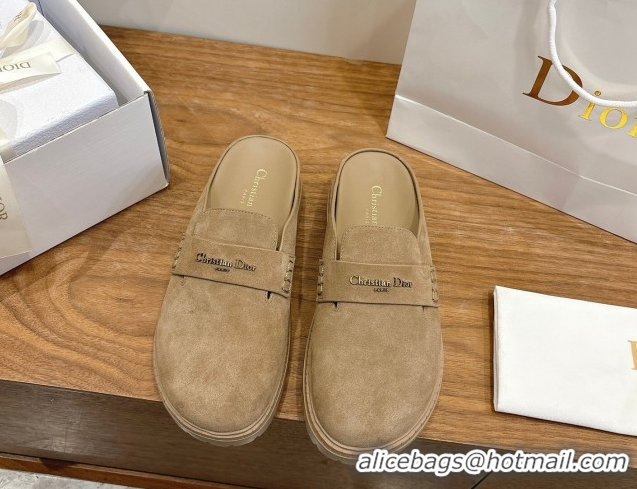 Pretty Style Dior Boy Platform Mules in Suede Beige 2026 DR030203