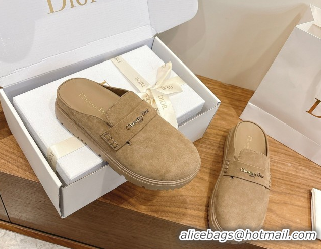 Pretty Style Dior Boy Platform Mules in Suede Beige 2026 DR030203