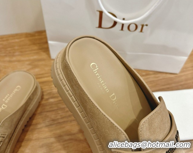 Pretty Style Dior Boy Platform Mules in Suede Beige 2026 DR030203