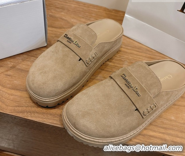 Pretty Style Dior Boy Platform Mules in Suede Beige 2026 DR030203