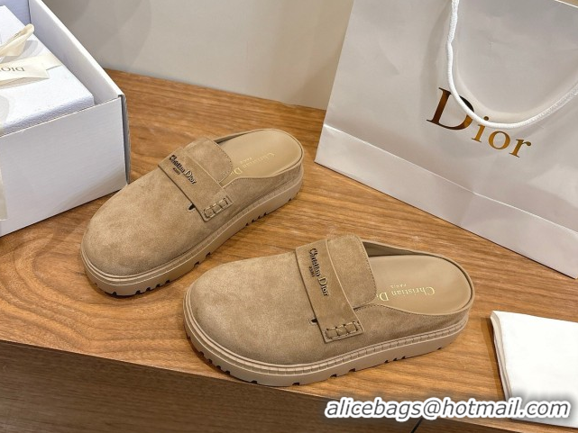 Pretty Style Dior Boy Platform Mules in Suede Beige 2026 DR030203