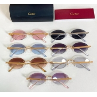 Luxury Discount Cartier Sunglasses CT0592S Black 2026