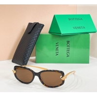 Grade Quality Botteg...