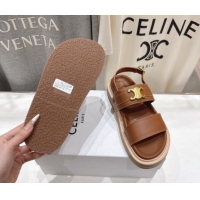 Grade Quality Celine Tippi Triomphe Flat Sandals in Calfskin Leather 0227031 Brown 2026