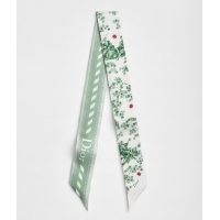 New Promotional Dior...