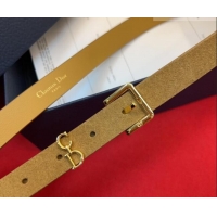 Best Quality Dior Saddle Loop Belt 2cm in Suede with CD Pin Buckle DR031705 Biscuits Beige/Gold 2026