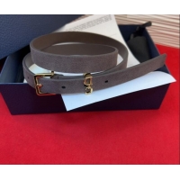 Buy Fashionable Dior Saddle Loop Belt 2cm in Suede with CD Pin Buckle DR031705 Taupe/Gold 2026