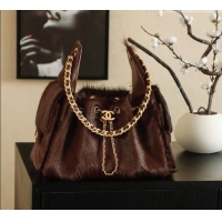 Reasonable Price Chanel 25 Small Hobo Handbag in Horsehair AS5293 Chocolate Brown 2026