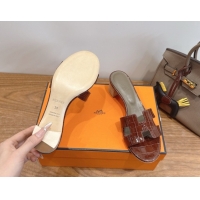 Low Price Hermes Oasis Classic Heel Slides Sandal 4.5cm in Crocodile Embossed Leather Dark Brown 0304044