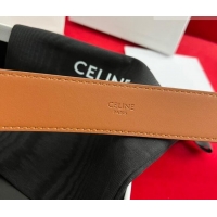 Good Taste Celine Calfskin Leather Belt 3cm with Triomphe Logo Buckle CE011003 Brown/Gold 2025