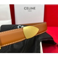 Promotional Celine Calfskin Leather Belt 3cm with Triomphe Logo Buckle CE011003 Black/Gold 2025