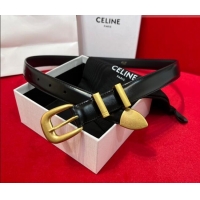 Discount Celine Western Medium Leather Belt 2.5cm with Pin Buckle CE011004 Black/Aged Gold 2025