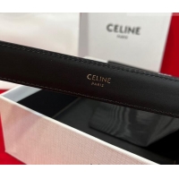 ​Best Price Celine Western Medium Leather Belt 2.5cm with Pin Buckle CE011004 Brown/Aged Silver 2025