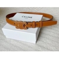 Good Product Celine Calfskin Triomphe Belt 2.4cm with Leather Buckle 0317 Brown 2025