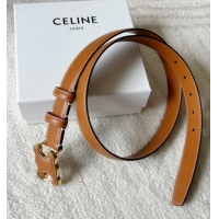 Good Product Celine Calfskin Triomphe Belt 2.4cm with Leather Buckle 0317 Brown 2025