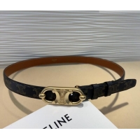 Hot Sell Cheap Celine Canvas Belt 2.5cm with Metal-Tone Triomphe Buckle 0317 Brown 2025
