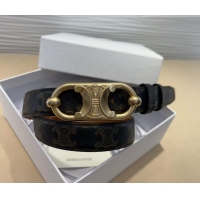 Hot Sell Cheap Celine Canvas Belt 2.5cm with Metal-Tone Triomphe Buckle 0317 Brown 2025