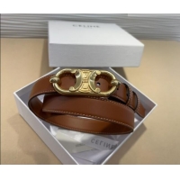 Inexpensive Celine Calfskin Belt 2.5cm with Metal-Tone Triomphe Buckle 0317 Brown 2025