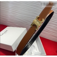 New Fashion Celine Triomphe Calf Leather Belt 2.5cm with Gold-Tone Buckle CL2012025 Brown 2025