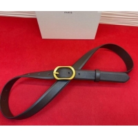 Top Grade Celine Triomphe Medium Belt 2.5cm with Pin Buckle in Calfskin Leather CE031601 Dark Brown 2026