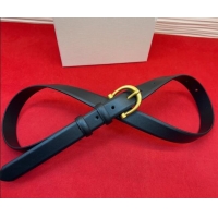 New Cheap Celine Triomphe Medium Belt 2.5cm with Pin Buckle in Calfskin Leather CE031602 Black 2026