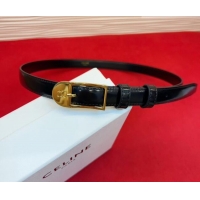 New Fashion Celine Shiny Calfskin Leather Belt 1.8cm with Pin Buckle CE031603 Black/Gold 2026