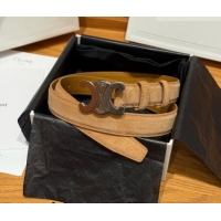 Best Product Celine Triomphe Medium Belt 2.5cm in Suede CE031603 Beige/Silver 2026