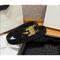 Luxury Cheap Celine Triomphe Medium Belt 2.5cm in Suede CE031603 Black/Gold 2026