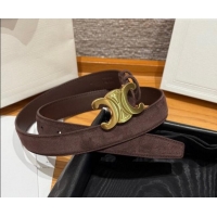 Luxury Cheap Celine Triomphe Medium Belt 2.5cm Suede CE031603 Dark/Brown/Gold 2026