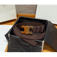 Luxury Cheap Celine Triomphe Medium Belt 2.5cm Suede CE031603 Dark/Brown/Gold 2026