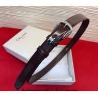 Cheap Price Celine Elegant Charm Triomphe Belt 2.5cm with Silver-Tone Pin Buckle in Shiny Leather 16052 Dark Brown 2026