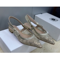 Good Quality Dior J'Adior Slingback Ballets Flat in Transparent Mesh Embroidered with Millefiori Motif in Gold-Tone Stra
