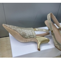 Unique Style Dior J'Adior Slingbacks Pump 6.5cm in Transparent Mesh Embroidered with Millefiori Motif in Gold-Tone Stras