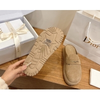 Pretty Style Dior Boy Platform Mules in Suede Beige 2026 DR030203
