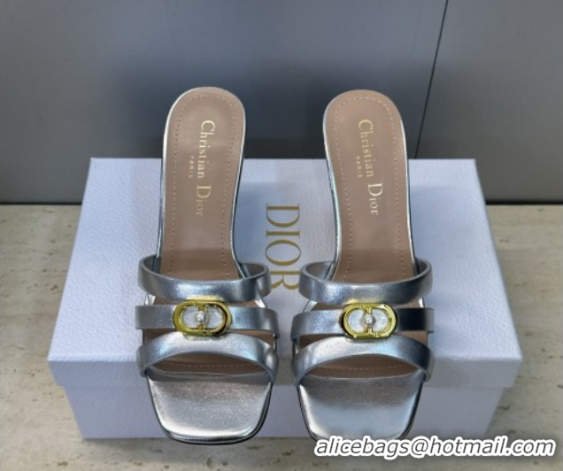 Pretty Style Dior Or 30M Heeled Slides Sandal 8cm in Calfskin Leather with CD Pearl Silver 0302078