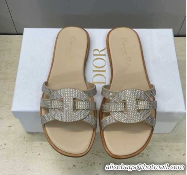 Shop Duplicate Dior D-Club Flat Slides Sandal in Suede and Strass Beige 2026 0302087