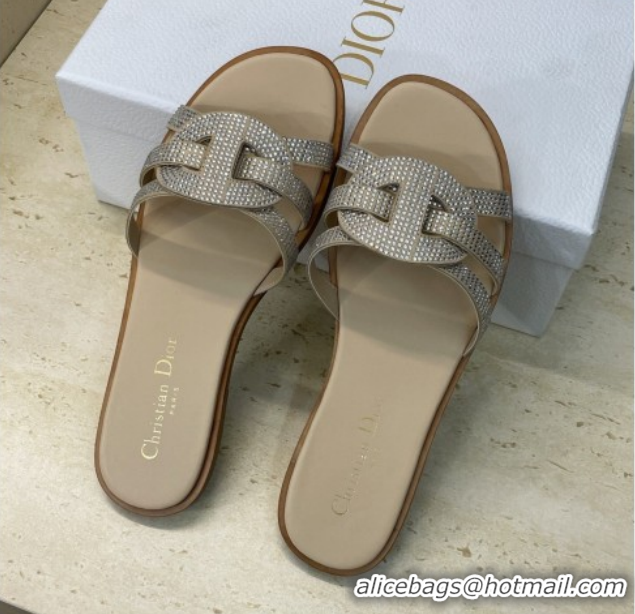 Shop Duplicate Dior D-Club Flat Slides Sandal in Suede and Strass Beige 2026 0302087