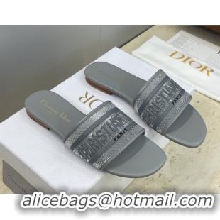 Top Grade Dior Dway Flat Slides Sandal in Transparent and TPU Grey 2026 0302090