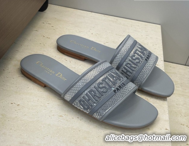 Top Grade Dior Dway Flat Slides Sandal in Transparent and TPU Grey 2026 0302090